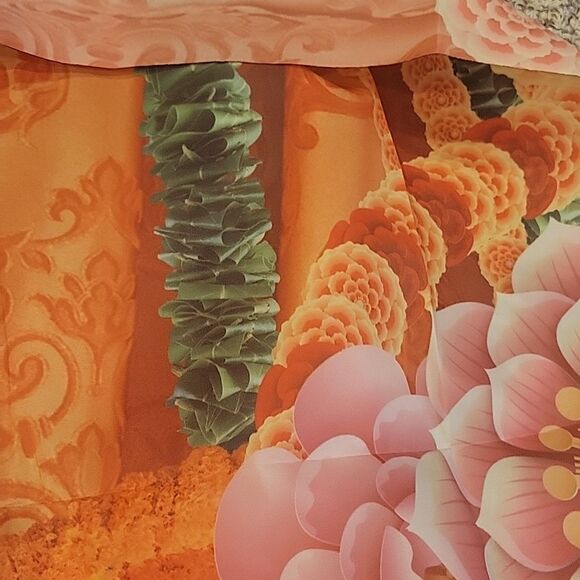 Indian Party Backgrount '94×"70 - Picture 6 of 6